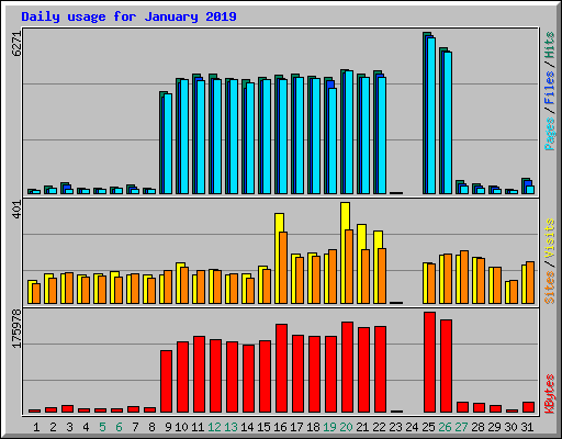 Daily usage for January 2019