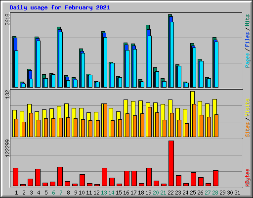 Daily usage for February 2021