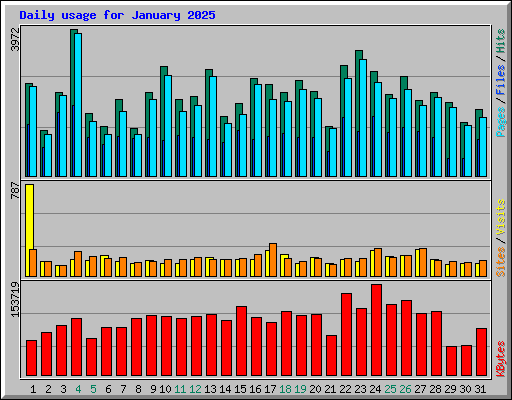 Daily usage for January 2025