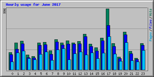 Hourly usage for June 2017