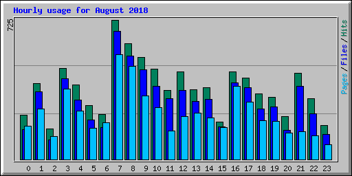 Hourly usage for August 2018