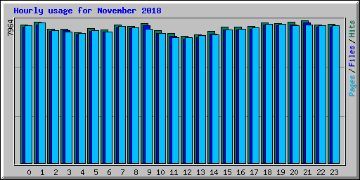 Hourly usage for November 2018