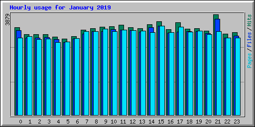 Hourly usage for January 2019