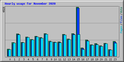 Hourly usage for November 2020