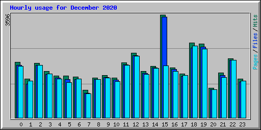 Hourly usage for December 2020