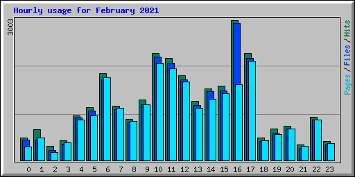 Hourly usage for February 2021