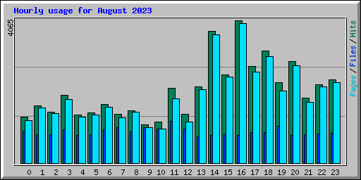 Hourly usage for August 2023