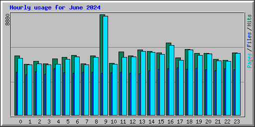 Hourly usage for June 2024