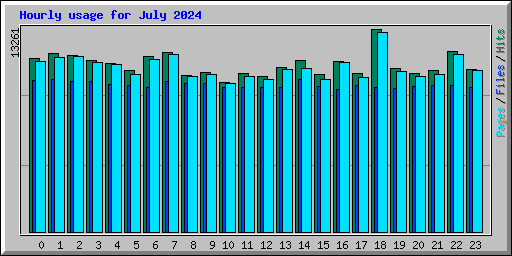 Hourly usage for July 2024