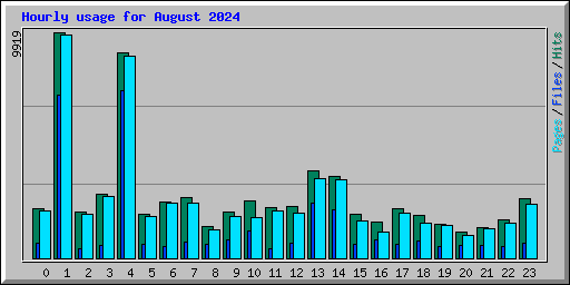 Hourly usage for August 2024