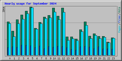 Hourly usage for September 2024