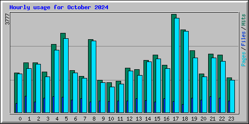 Hourly usage for October 2024