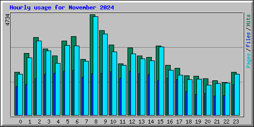 Hourly usage for November 2024