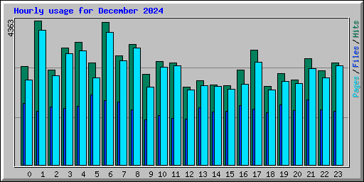 Hourly usage for December 2024