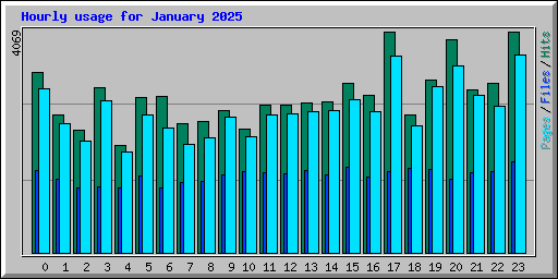 Hourly usage for January 2025