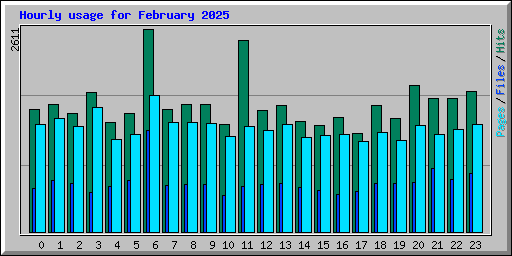 Hourly usage for February 2025