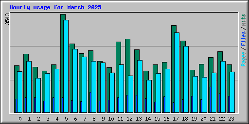 Hourly usage for March 2025