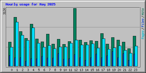 Hourly usage for May 2025