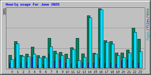 Hourly usage for June 2025